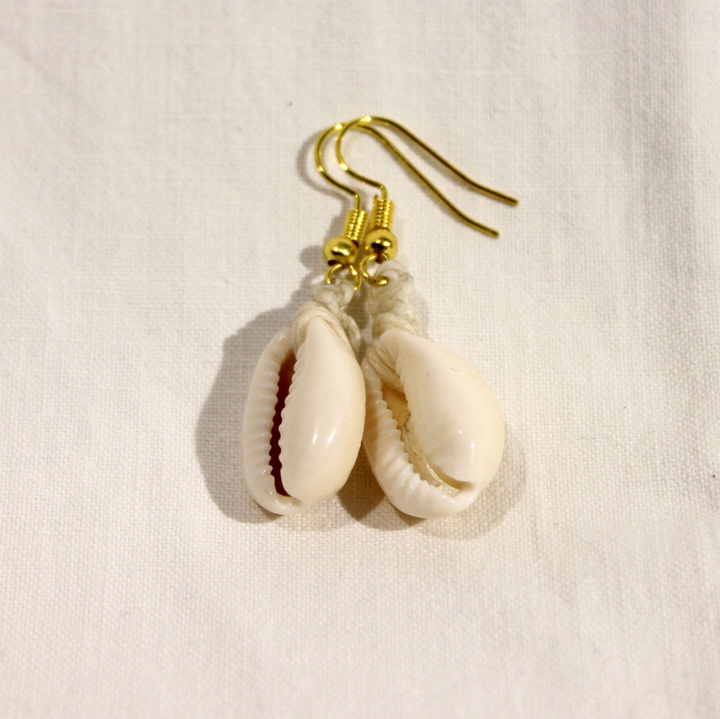 Cowry shell earrings