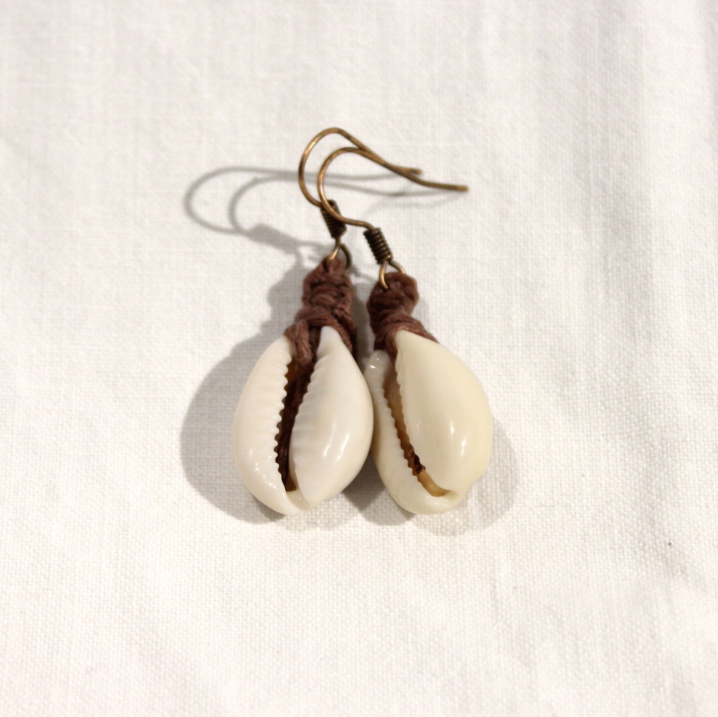 Cowry shell earrings